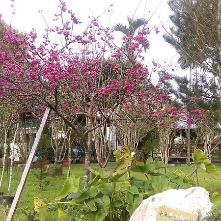 Sun Moon Lake Wild Flower Bed & Breakfast Yuchi Dış mekan fotoğraf