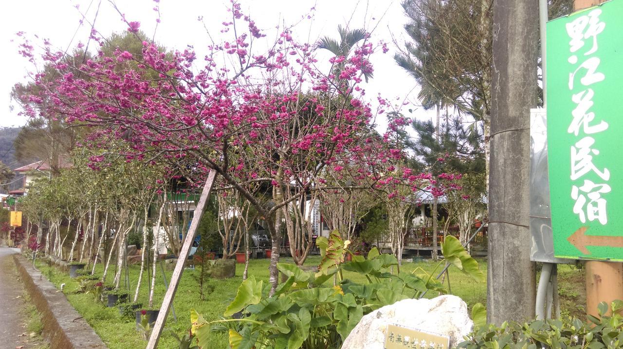 Sun Moon Lake Wild Flower Bed & Breakfast Yuchi Dış mekan fotoğraf